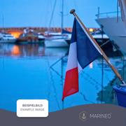 Marineo Gastlandflagge Bootsfahne Gastflagge Fahne Flagge für Boot oder Motorrad - 20 x 30cm, Türkei