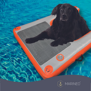 MARINEO Hundebadeleiter, Badeleiter, aufblasbare Dog Ramp Rampe für Hunde, für Boot, Pool oder Steg